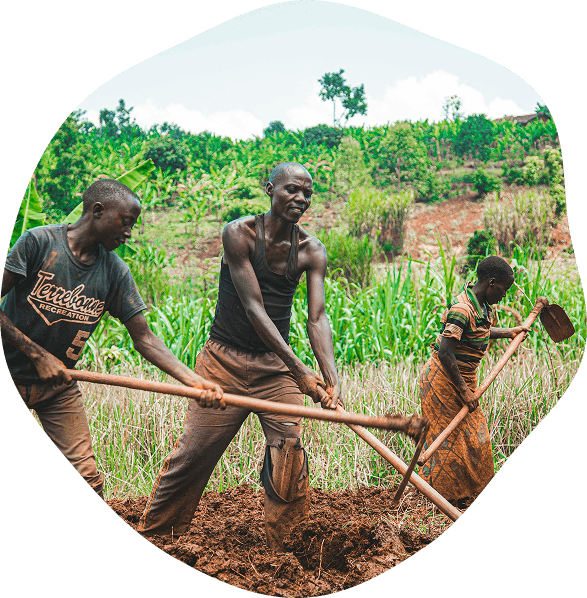 Farmer Onboarding illustration